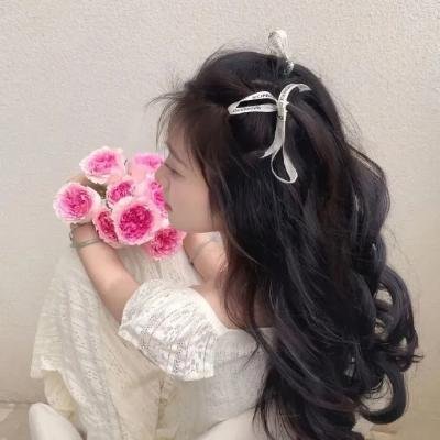 蜘蛛王国