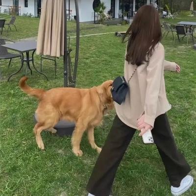 单枪匹马独行侠