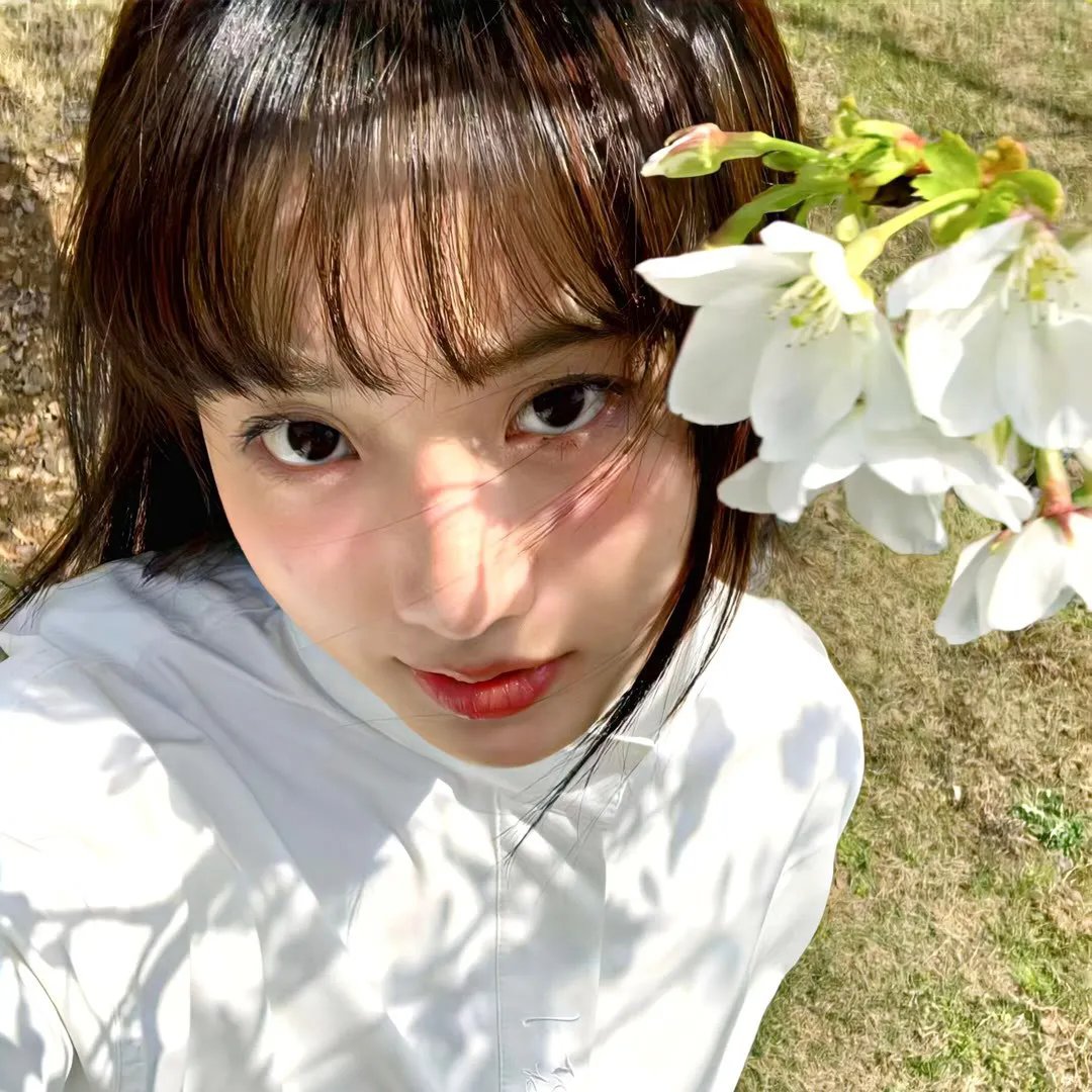 许愿树